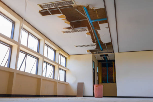 Best Flooded house restoration  in Arcola, IL