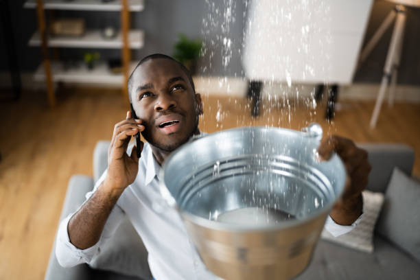 Professional Water damage restoration in Arcola, IL