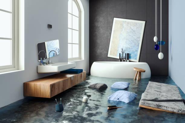 Best Water damage restoration insurance claims  in Arcola, IL