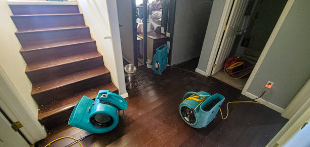 Water damage restoration insurance claims in Arcola, IL