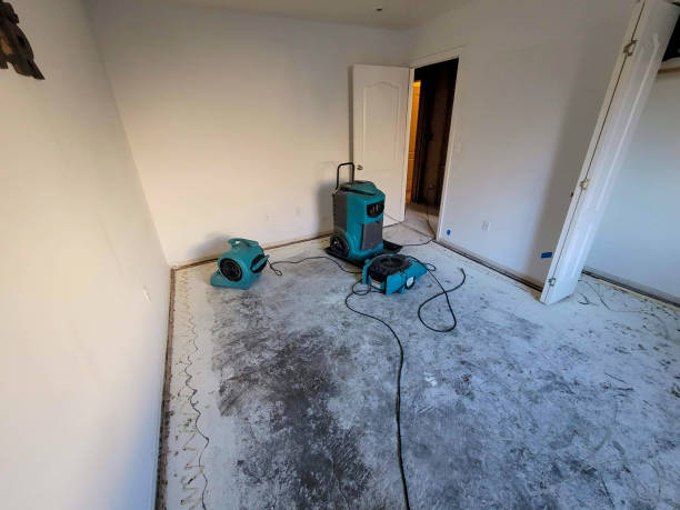 Best Basement water damage restoration  in Arcola, IL