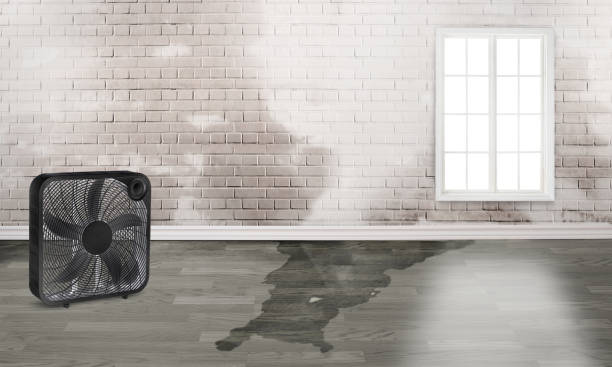 Best Fire Damage Restoration  in Arcola, IL