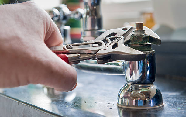 Best Local water damage restoration  in Arcola, IL