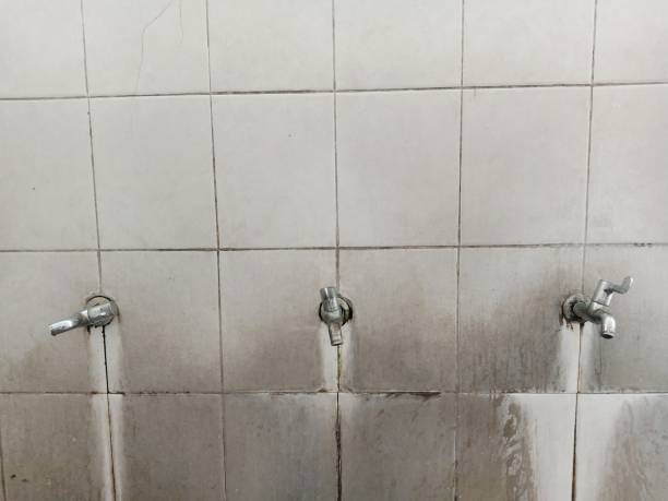 Best Water damage restoration specialists  in Arcola, IL
