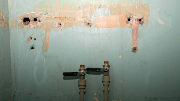 Local water damage restoration in Arcola, IL
