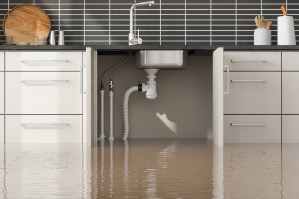 Best Commercial water damage restoration  in Arcola, IL