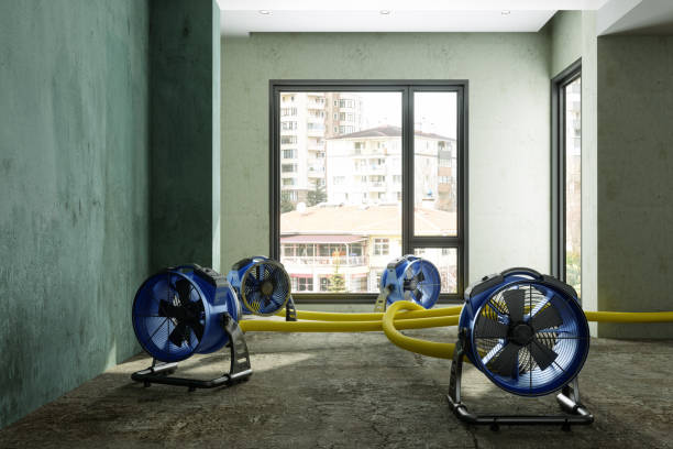 Best Emergency water damage restoration  in Arcola, IL