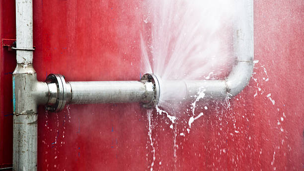 Best Sewage cleanup and water damage restoration  in Arcola, IL