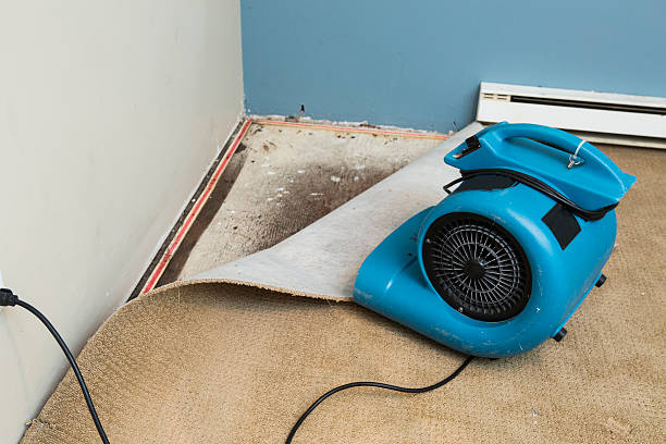 Best Water damage restoration near me  in Arcola, IL