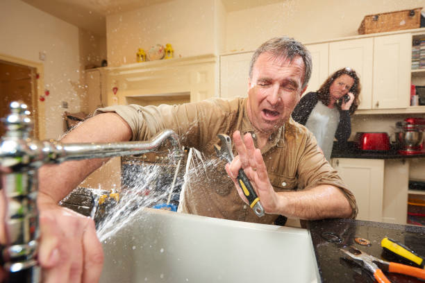 Best Carpet water damage restoration  in Arcola, IL